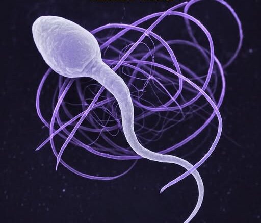 Scientists Found The Hidden Factor Behind the Global Infertility Crisis, And It’s Terrifying