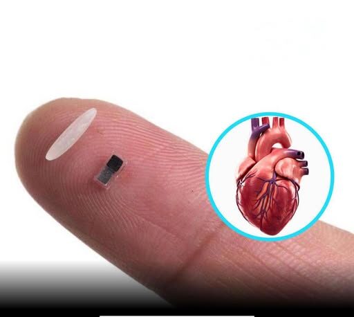 The Development of the World’s Smallest Pacemaker