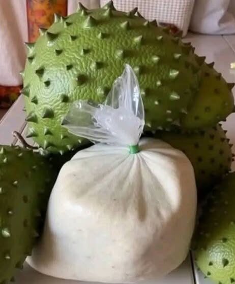 Did you know that with soursop leaf we can prevent with…