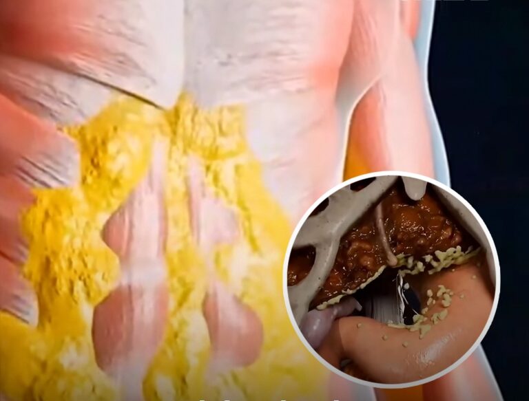 Experts explain what happens to your body when you eat one meal a day after shocking simulation shows physical change