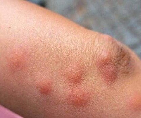 Did You Know About This? Wow, I Learned Something New!